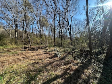 View of lot and timber around.