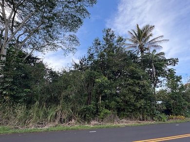 0 Kahakai Blvd unit 725669, Pahoa, HI 96778 - photo 4