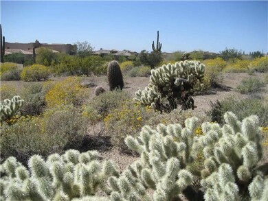 Abundant with Lush Desert Vegetation