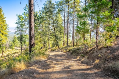 TBD Wagner Ridge Rd, Coulterville, CA 95311 - photo 6