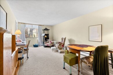 321 Harvard St unit 206, Cambridge, MA 02139 - photo 5