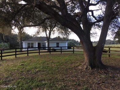 18358 NW 27th St, Morriston, FL 32668 - photo 4