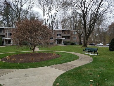 41 Lionel Ave unit D, Waltham, MA 02452 - photo 2