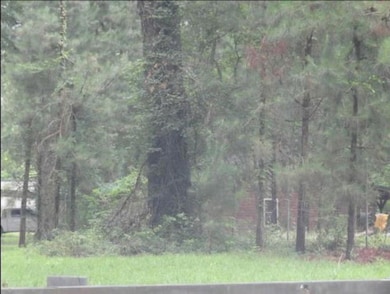 232 Mathes Rd, Doyline, LA 71023 - photo 2