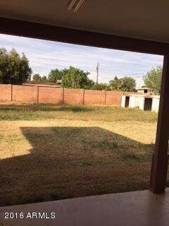 brown back yard 1