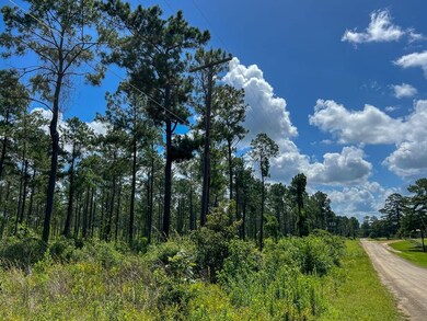 0 Cr 257 unit 22715481, Jasper, TX 75951 - photo 7