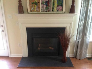 Other. Gas fireplace