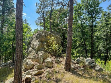 Tract Campfire Three Meadows Rd unit Lakota Lakes, East Custer, SD 57751 - photo 5