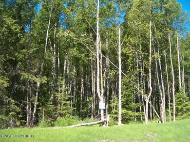 tree cover