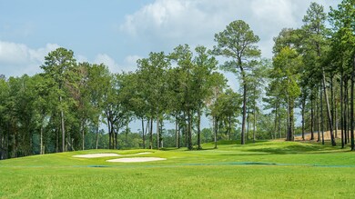 8802 Jones Lagoon Dr, Porter, TX 77365 - photo 7