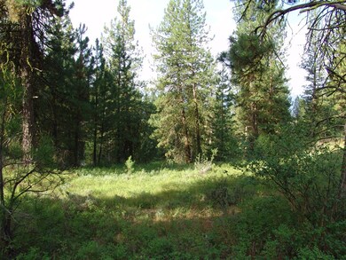 Beautiful Timbered Acreage
