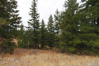 3 Black Rock Rd, Waterville, WA 98858 - photo 2