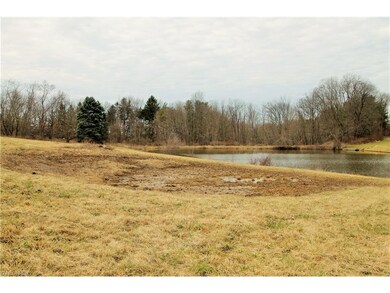 10440 Thicket Trail, Doylestown, OH 44230 - photo 3