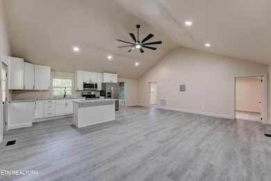 184 Shaddon Rd, Tellico Plains, TN 37385 - photo 6