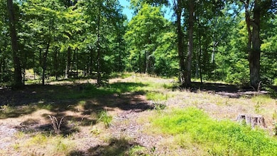 8121 Lick Creek Rd, Big Sandy, TN 38221 - photo 7