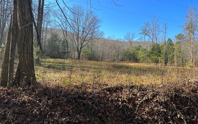 751 Kennemur Rd, Ellijay, GA 30536 - photo 2