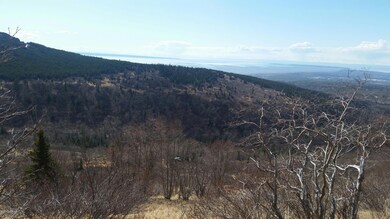 L1L2 Canyon Rd, Anchorage, AK 99516 - photo 4