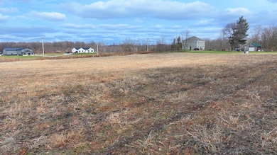 5668 St Rt 288 Lot C, Galion, OH 44833 - photo 3