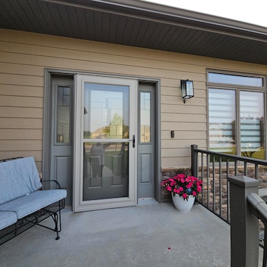 Storm door- screen