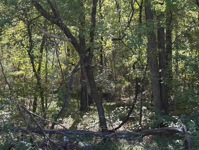 0 Bethuel Rd unit Lot 3, Unincorporated, TN 38053 - photo 3