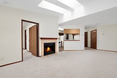 1345 E Wyndham Cir unit 203, Palatine, IL 60074 - photo 4