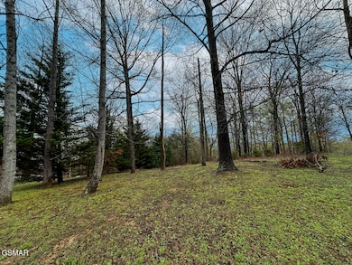 0 David Swann Dr unit 309362, Dandridge, TN 37725 - photo 5