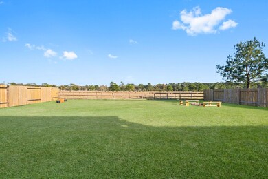 31616 Johlke Rd, Magnolia, TX 77355 - photo 7