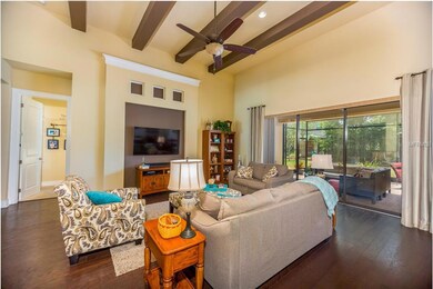 15925 Persimmon Grove Dr, Lithia, FL 33547 - photo 5