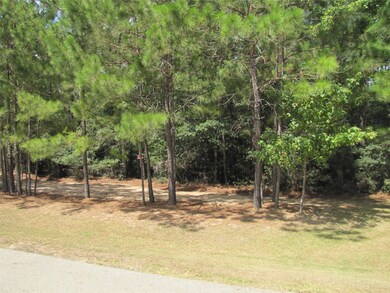 29233 Village Oaks Ct, Magnolia, TX 77355 - photo 4