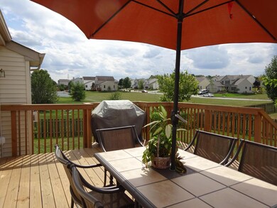 Back Deck