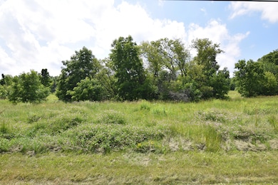 View from Road - Lot 3