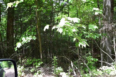 0 Pearl Lake Rd unit 6 4865405, Lisbon, NH 03585 - photo 7