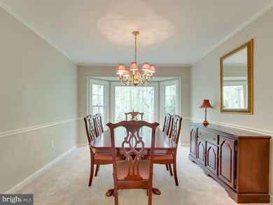 6803 Bluecurl Cir, Springfield, VA 22152 - photo 6