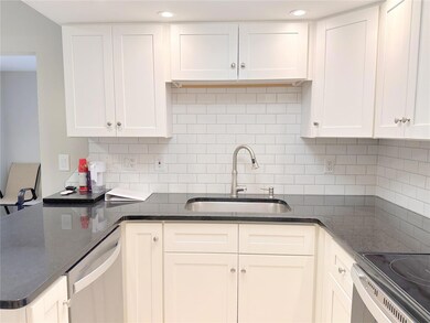 Farmer's sink and new faucet and disposal