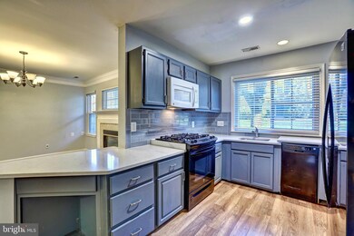 12461 Hayes Ct unit 102, Fairfax, VA 22033 - photo 7