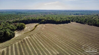 2A Segrest Rd, Chumuckla, FL 32571 - photo 4