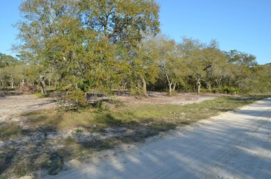 000 W Royal Oak Dr, Keaton Beach, FL 32348 - photo 4