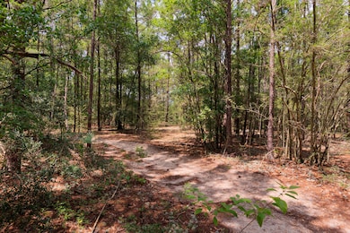 5337 Carousel Ln Crestview 2