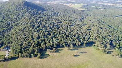 TBD Cr 993, Green For., AR 72638 - photo 2