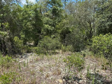 00 SW Rainbow Lakes Blvd, Dunnellon, FL 34431 - photo 5