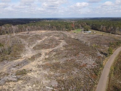 Tbd Allen Rd unit LotWP001, Meadville, MS 39653 - photo 2