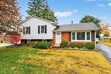 2081 Dogwood Dr, Lexington, KY 40504 - photo 2