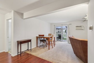 530 Chase Dr unit 4, Clarendon Hills, IL 60514 - photo 6