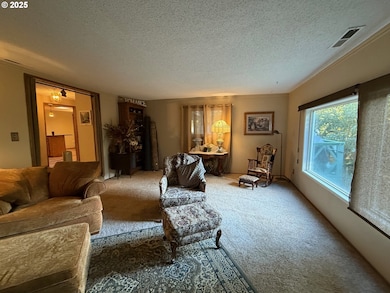 87511 Tiernan Rd, Mapleton, OR 97453 - photo 7