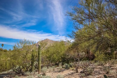 Sahuaro Vista - 105 (4)
