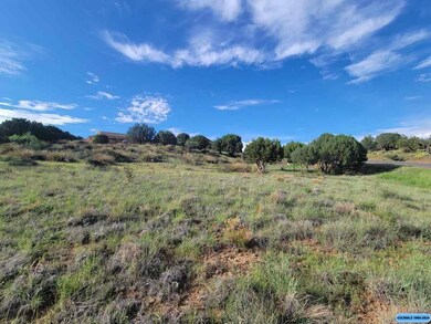 Lot 3 Copper Ridge Dr, Silver City, NM 88061 - photo 3