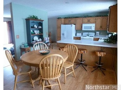 110 Euclid Ct, Big Lake, MN 55309 - photo 7