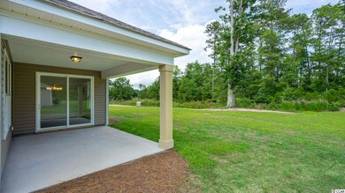 120 Bucky Loop unit Lot 17 Bradford D, Murrells Inlet, SC 29576 - photo 4