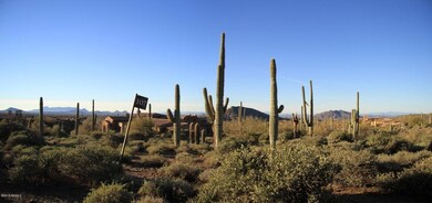 Big views to the south...