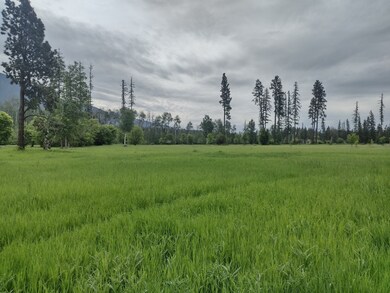 136 Timber Axe Ln, Columbia Falls, MT 59912 - photo 4